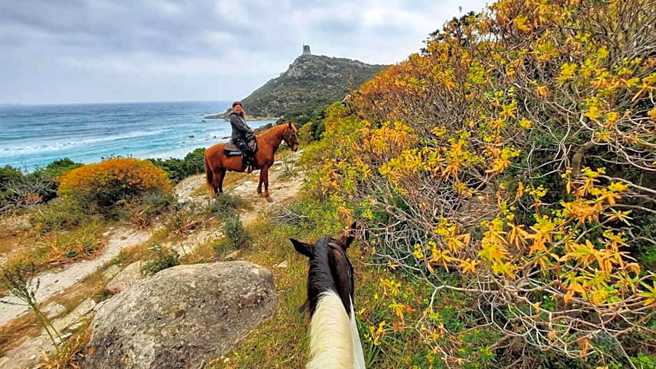 S'Arenada Hotel - Adults Only