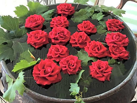 Eveline 2 - Piscina Privata o Jacuzzi