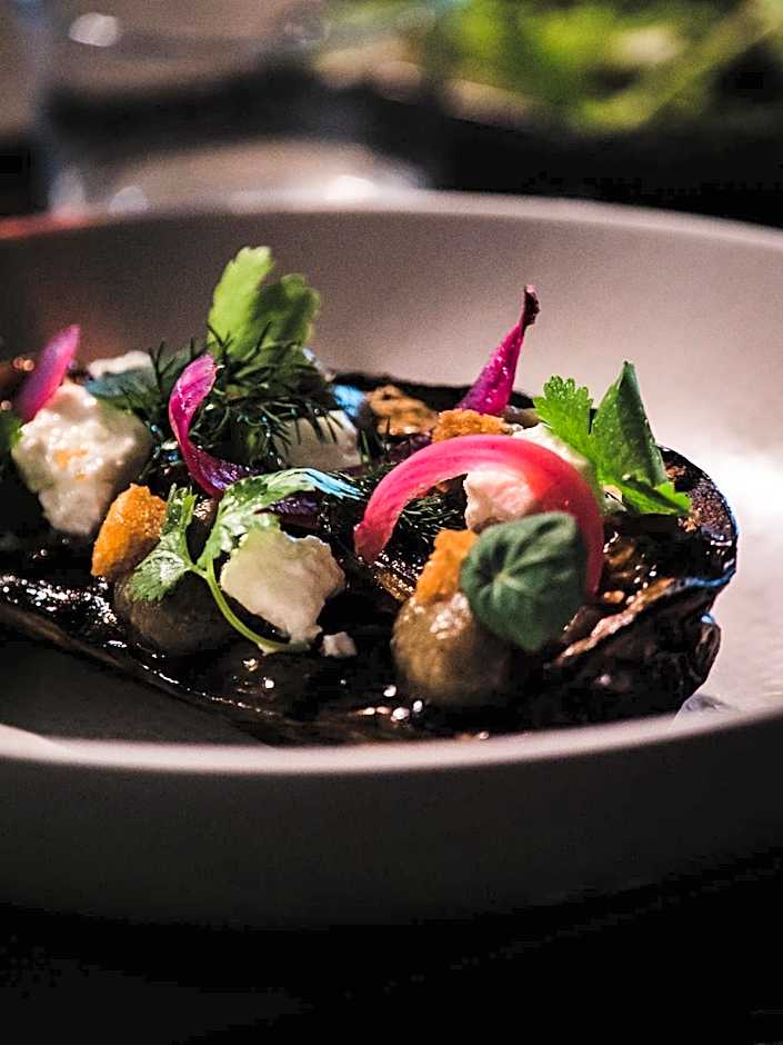 Domaine Riberach - Restaurant étoilé - Spa - Piscine naturelle - Vignoble bio