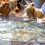 Onsen Guesthouse Aobatonosu