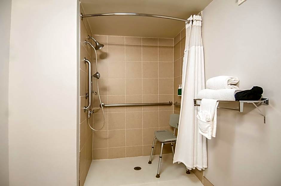 Fairfield Inn & Suites by Marriott Dallas Dfw Airport South/Irving