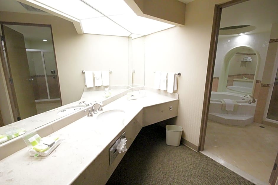 Holiday Inn Leon-Convention Center By IHG