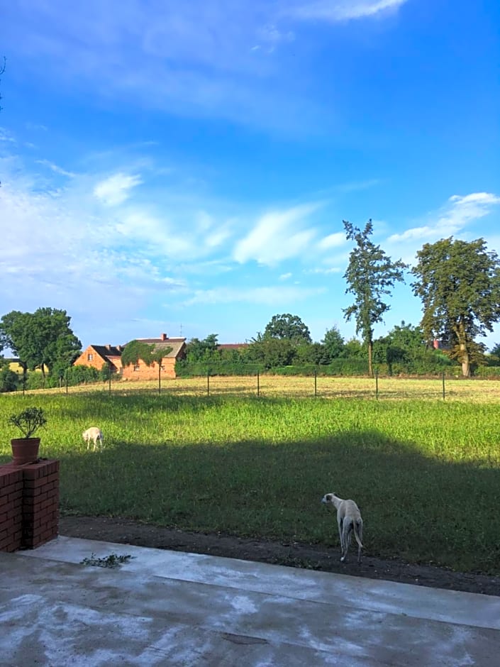 Palac Osowo gostynskie