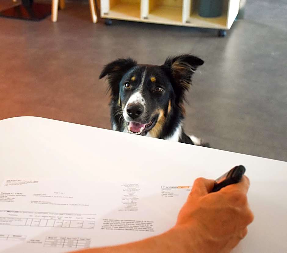 ibis Budget Millau Viaduc