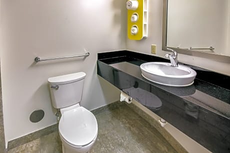 Mobility Accessible Room With A 