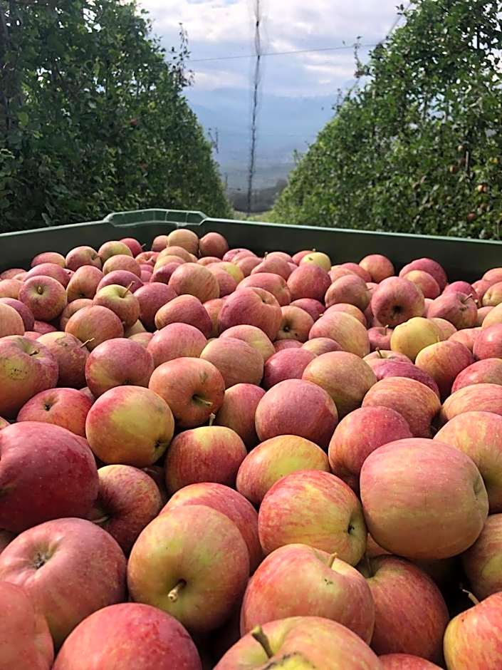 Agritur Le Pergole