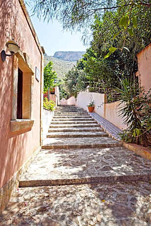 Standard One-Bedroom Apartment