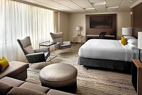 Junior Suite, 1 King, Sofa bed