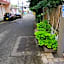 Residence Les Bambous B&B