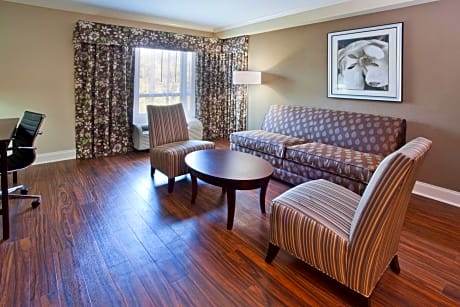 One-Bedroom King Suite