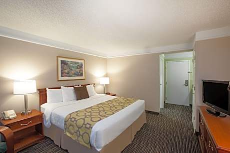 1 King Bed Mobility Accessible Room Non-Smoking