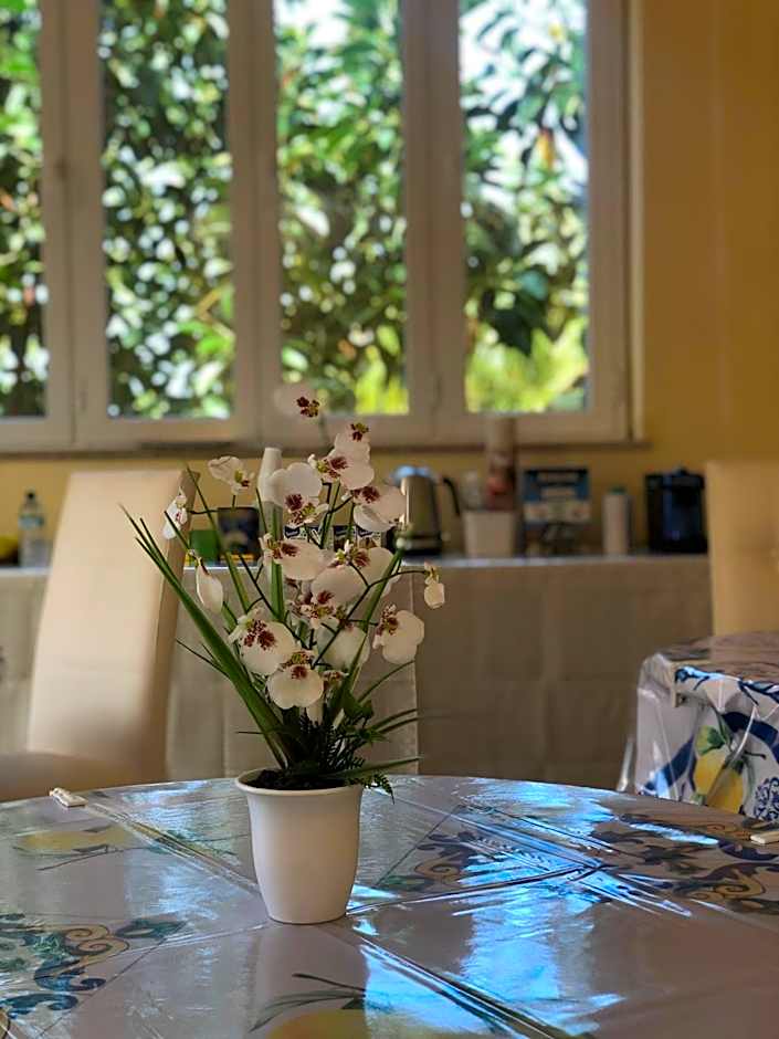 Thalassa Suite & Spa