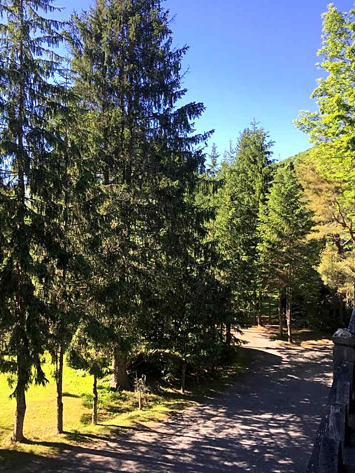 Slide Mountain Forest House