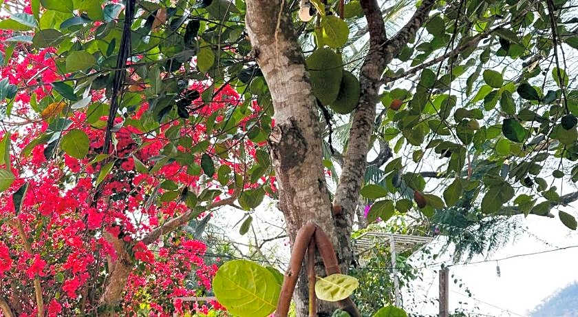 Villa Phonethip Mekong Riverside