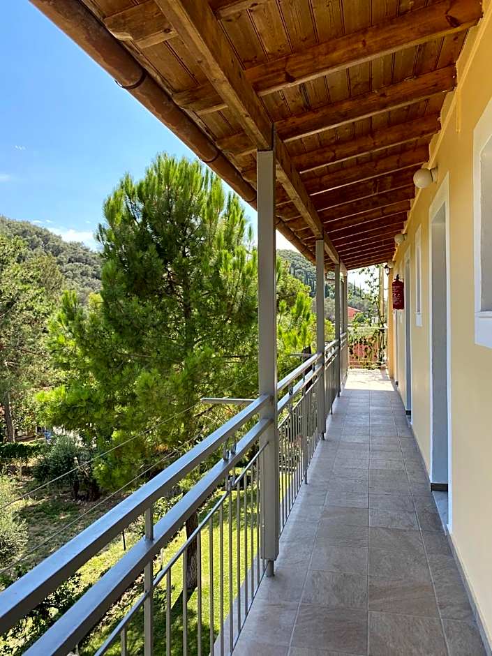 Anemona Studios