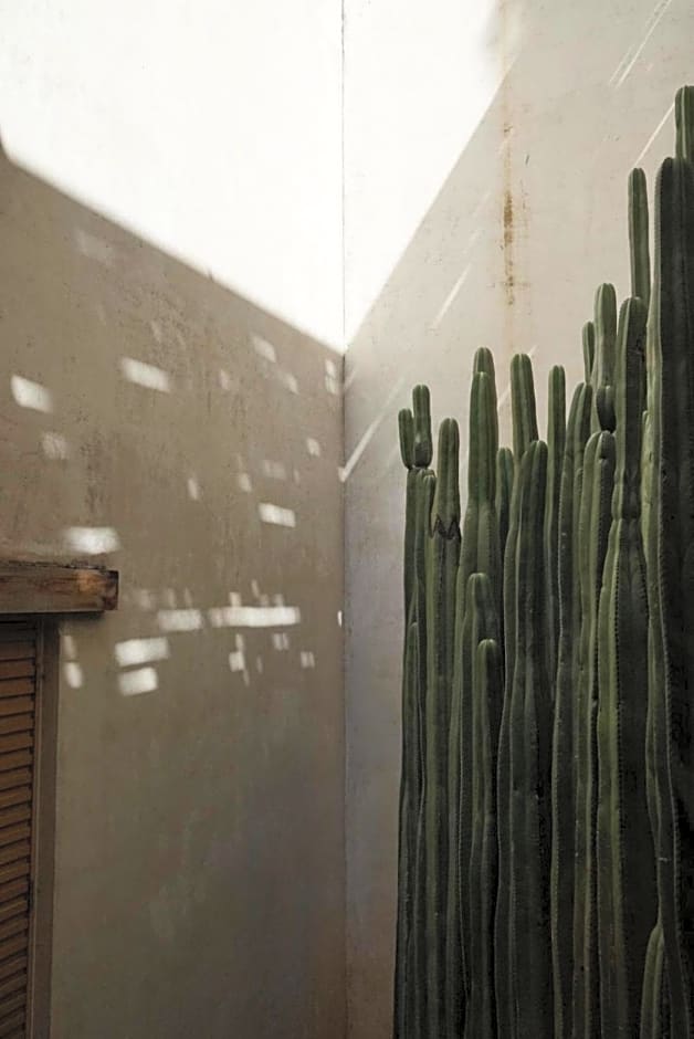 Casa Carmen Reforma