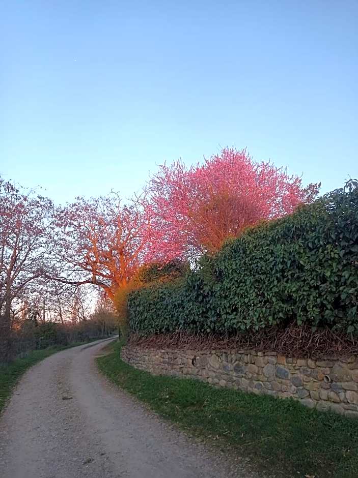 Hotel Alda Jolio Jaca