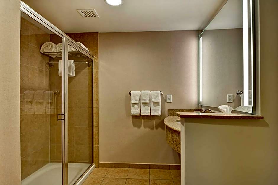 Hilton Garden Inn Orlando Lake Buena Vista