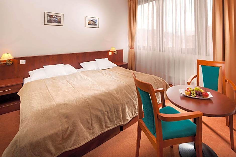 Comfort Hotel Ústí nad Labem City