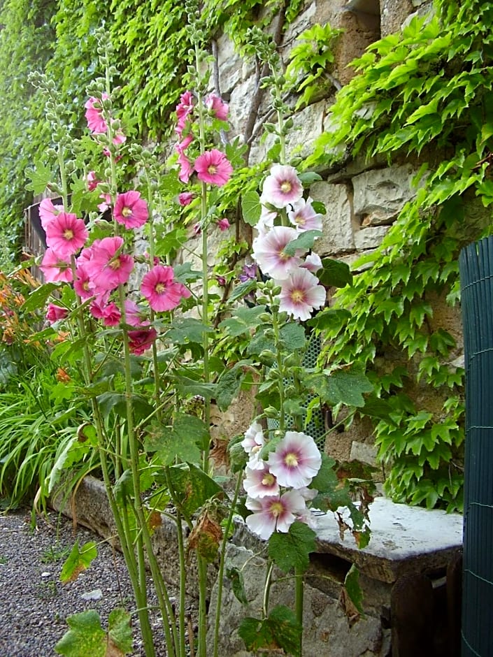 Chambres d'Hôtes de La Vallée Du Serein