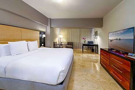 Premium 1 King Bed Nonsmoking