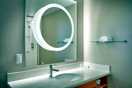 Queen Studio with Sofa Bed and Roll-in Shower - Mobility and Hearing Accessible