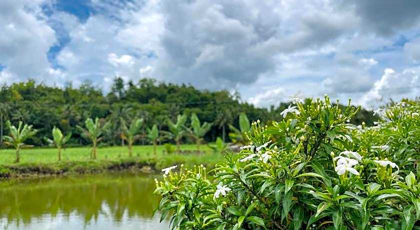 Jazz Ferme Inn Batuan Bohol