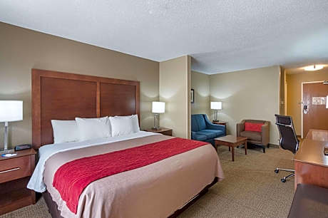 Suite, King Bed, Non-Smoking