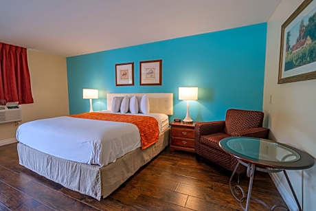 Superior King Room - Non-Smoking