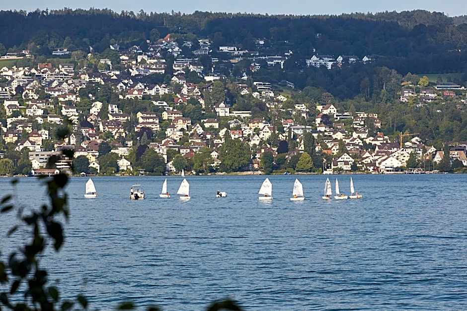 Alex Lake ZÃ¼rich