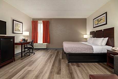 1 King Bed, Nonsmoking