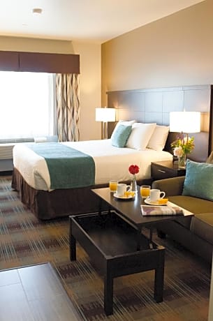 King Executive Suite With Pullout Couch