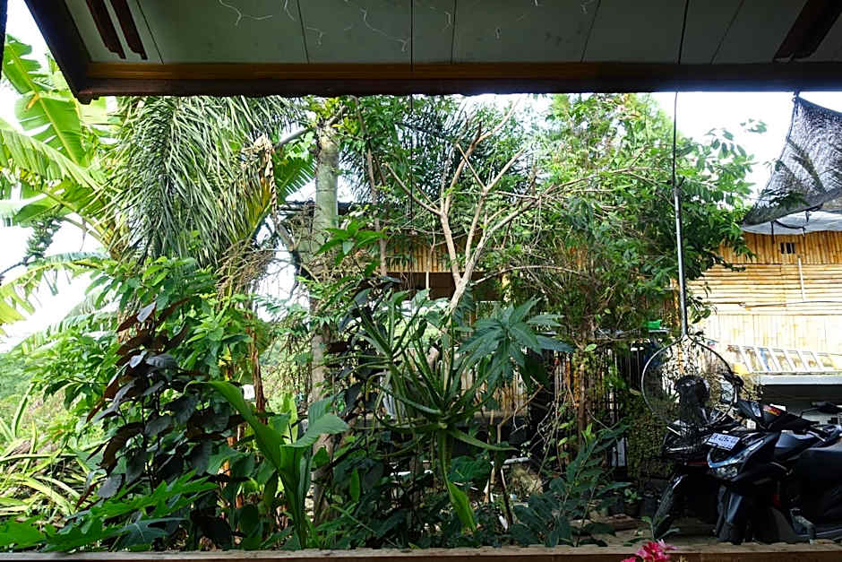 Tarsan Homestay