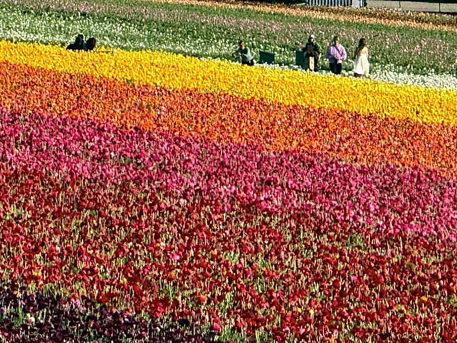 Holiday Inn Express Hotel & Suites Carlsbad Beach By IHG