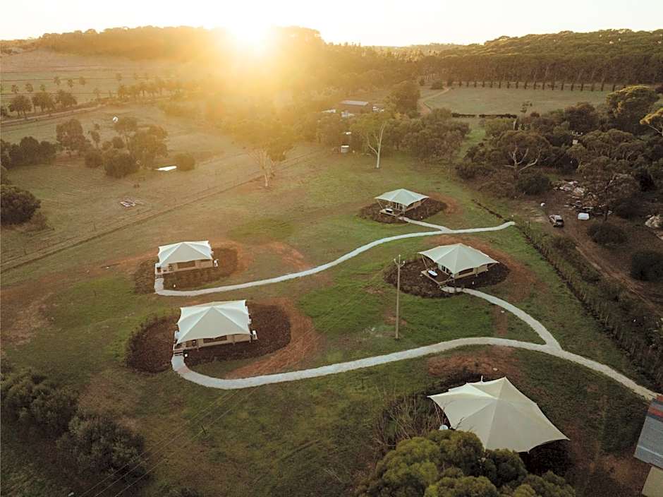 CANVS by CABN Seppeltsfield Barossa