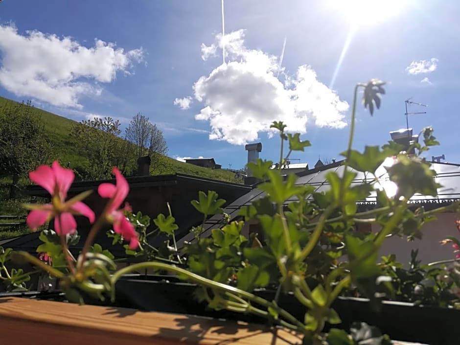 B&B Cedavécia