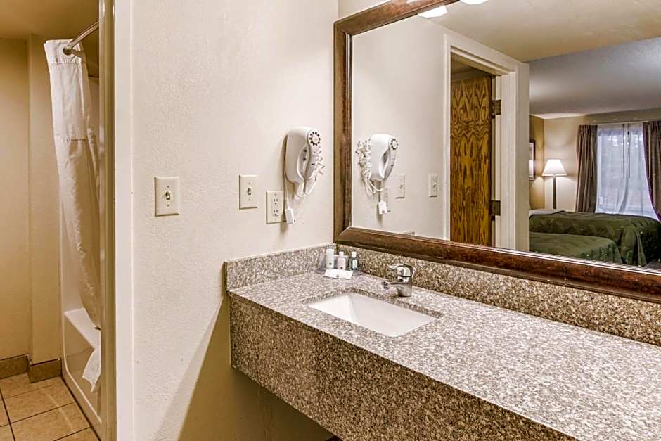 Quality Inn Stone Mountain