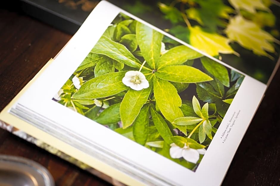 Casale delle Lavande