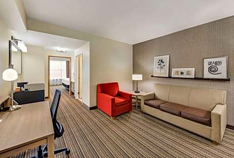 One-Bedroom King Suite with Sofa Bed - Non-Smoking