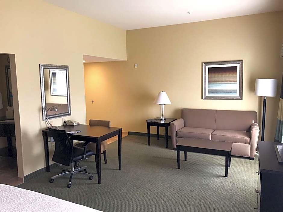 Hampton Inn By Hilton & Suites Austin