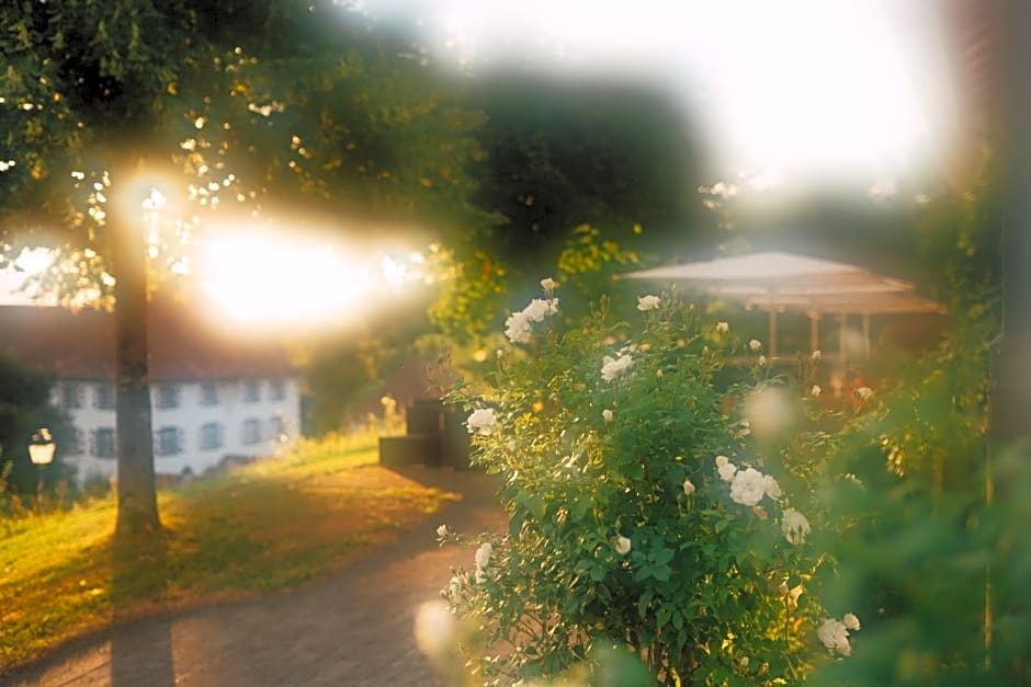 Schloss Freudenfels