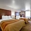 Comfort Inn Elko