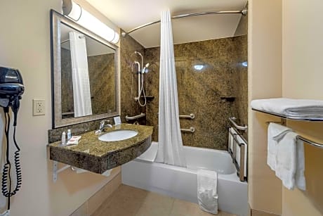 1 King Bed, Nonsmoking