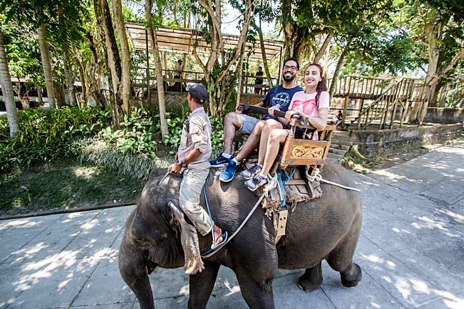 Puri Lumbung Village