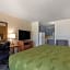 Quality Inn Saint Petersburg North-Tampa Bay
