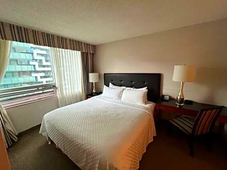 Executive Suite King Bed