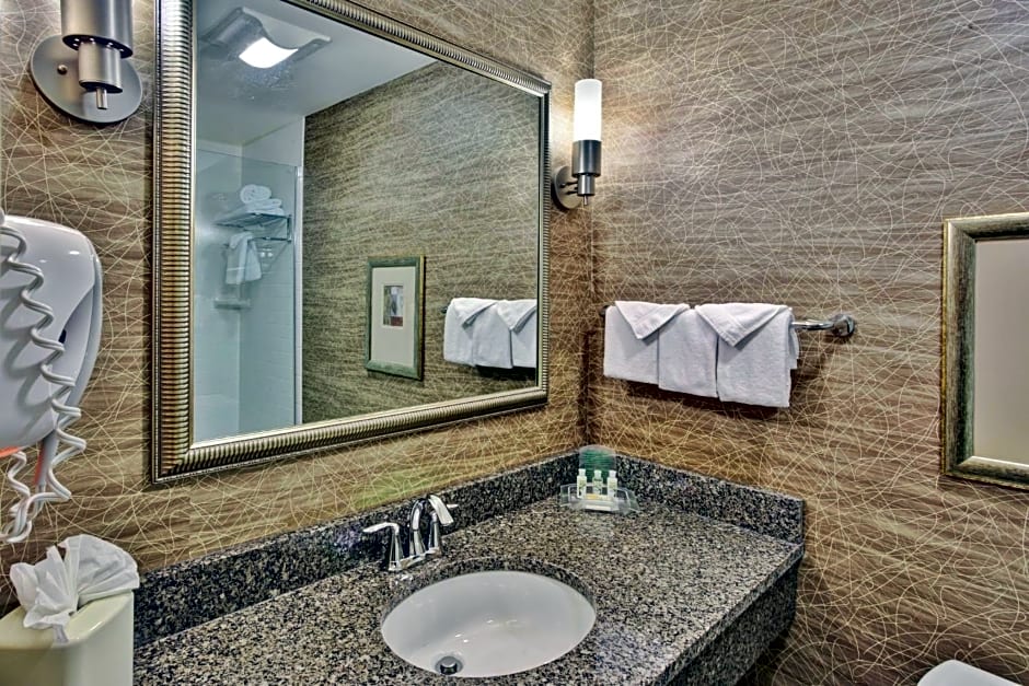 Holiday Inn Detroit Metro Airport By IHG