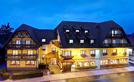 Best Western Au Cheval Blanc Mulhouse Nord