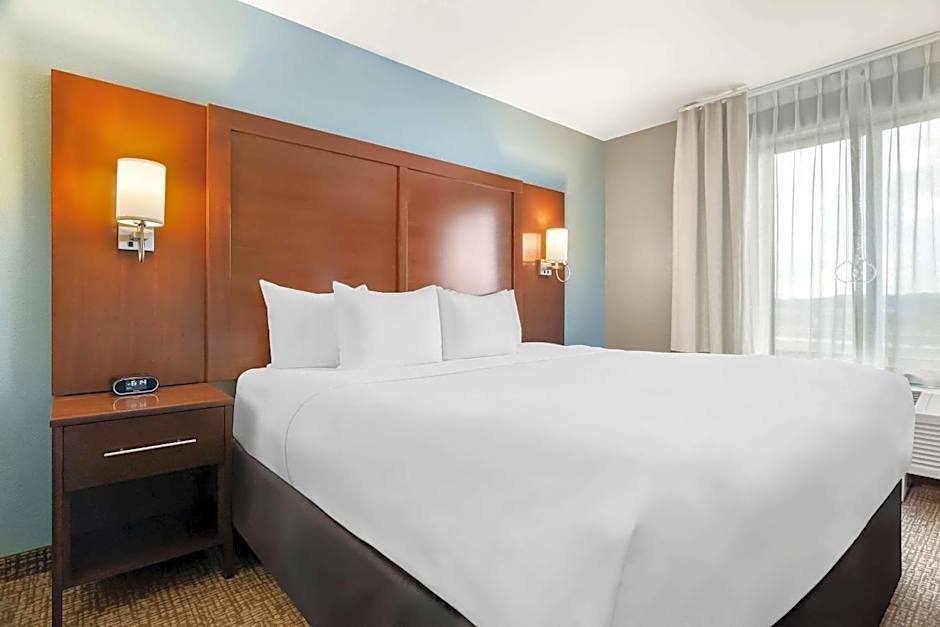 Comfort Suites Rensselaer near Fair Oaks