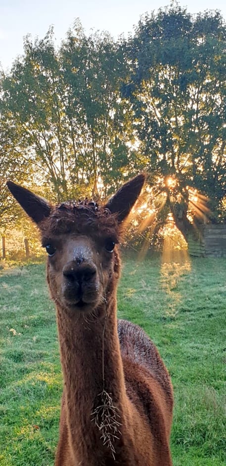 Aux murmures de la nature B&B